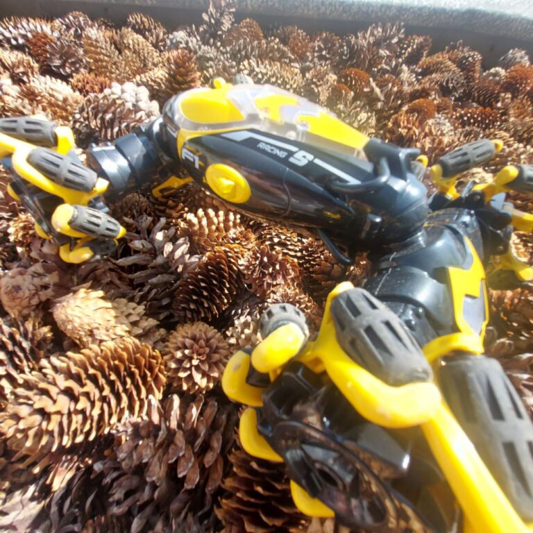 מכונית פעלולים מקצועית 4X4 עם שלט רגיל ושלט שעון לביש photo review