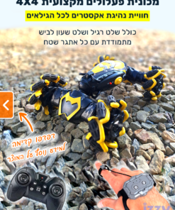 מכונית על שלט