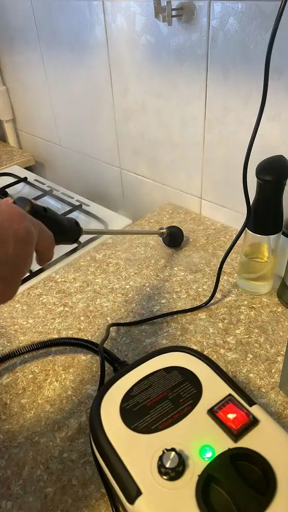 דניאלה פ.